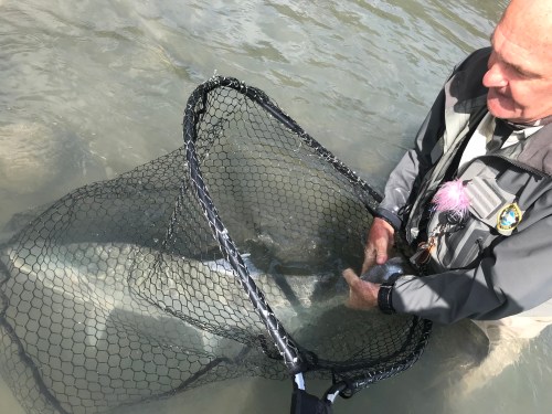 104B2FED-8511-45F6-96DF-46AC652C12C1