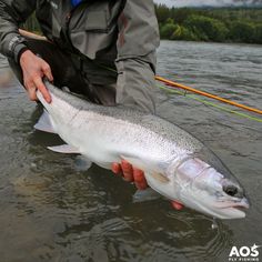 8cf23eae688bf783e9e267513fcf0e8a