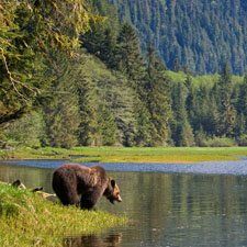 b3d6fd4e3654b1d35c664f4a68118aec